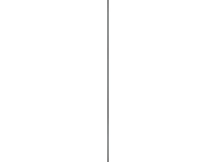 2081–cando-decowall-acoustic-eindprofiel-260cm-zwart-1.jpg