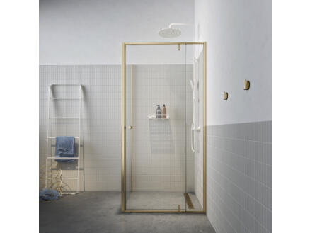 Sealskin Contour porte de douche pivotante avec paroi latÃ©rale 100x100x200 cm verre transparent or