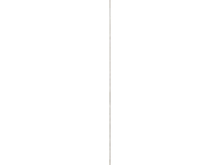 2162–cando-decowall-acoustic-eindprofiel-260cm-grijs-eiken-1.webp