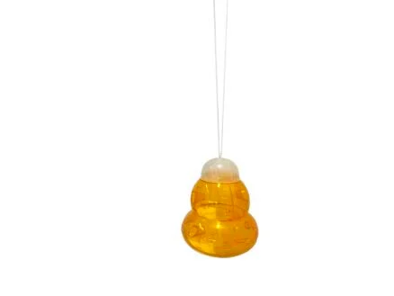 Wespenval oranje