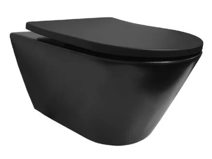 Aqualine WC suspendu Baleo Rimless noir mat