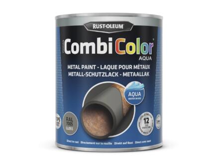  Rust-oleum CombiColor Aqua laque pour mÃ©taux brillant 0,75l gris souris