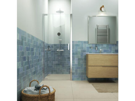 Sealskin Inc. porte de douche pivotante 100x200 cm verre transparent argent brillant