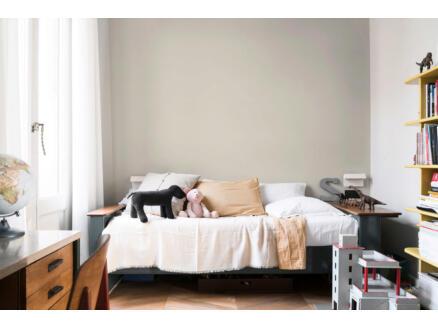 3064–levis-easyclean-muurverf-tegen-zwarte-strepen-2-5l-teder-cr-me-1.jpg