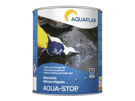 Aquaplan Aqua-Stop pate de rÃ©paration 1kg