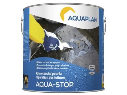Aquaplan Aqua-Stop pate de rÃ©paration 2,5kg