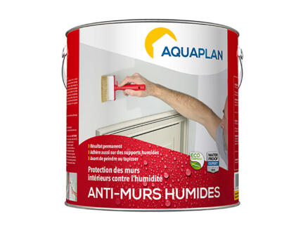 Aquaplan anti-murs humides 2,5l transparent