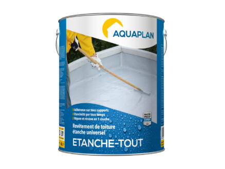 Aquaplan Etanche-Tout 4l