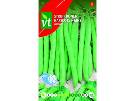 VT haricots nains montano