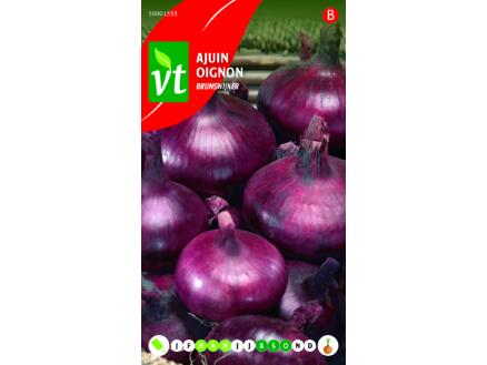 VT Brunswijker ajuin
