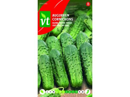 VT cornichons vert petit de paris