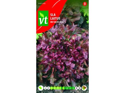 VT laitue red salad bowl