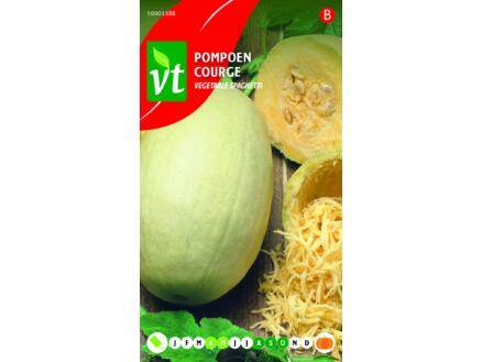 VT Vegetable spaghetti pompoen