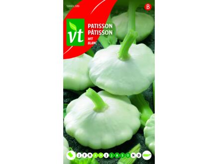 VT patisson blanc