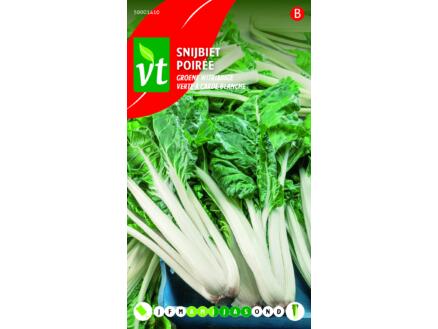 VT groene Witribbige snijbiet
