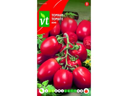 VT Roma tomaat
