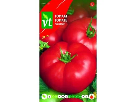 VT tomate marmande