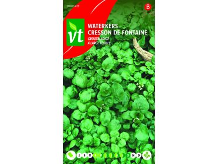 VT grootbladige waterkers