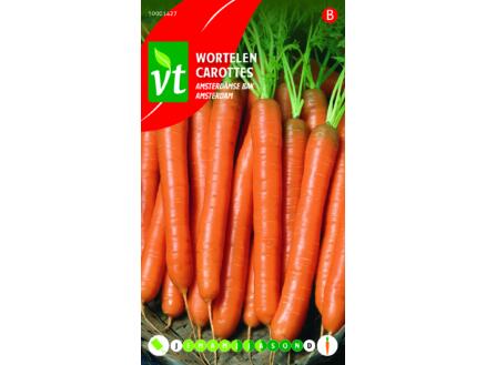 VT carottes amsterdam
