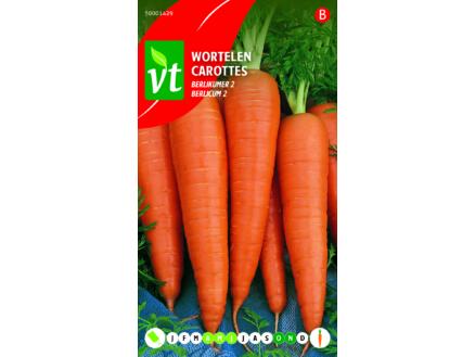VT carottes berlicum