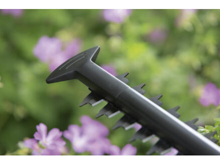 3847–bosch-easyhedgecut-60-taille-haie-450w-60cm-1.webp