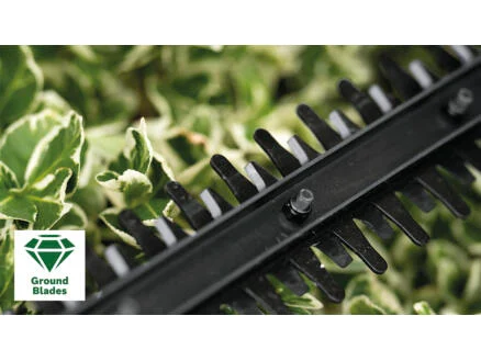 3849–bosch-easyhedgecut-18v-44-taille-haie-sans-fil-18v-li-ion-44cm-batterie-non-comprise-1.webp