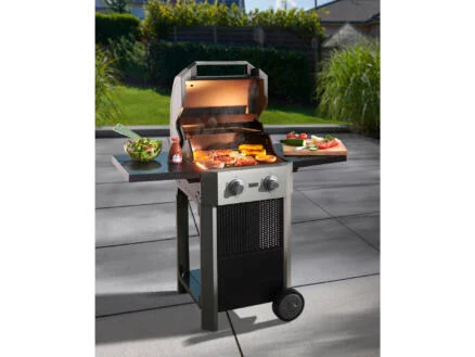 Buschbeck Grenade barbecue électrique 47,4x42,2 cm