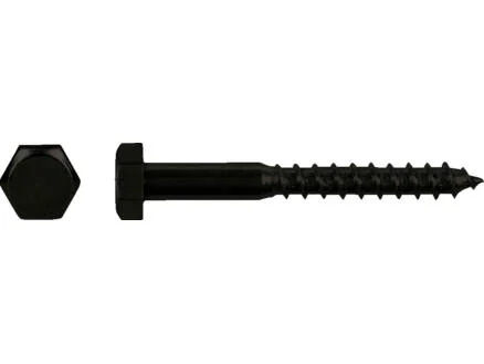 Pgb-fasteners tire-fond DIN571 8x50 mm noir 6 piÃ¨ces