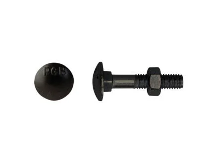 Pgb-fasteners houtbout met moer DIN603 M8 40mm zwart 6 stuks
