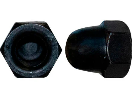 Pgb-fasteners zeskantdopmoer DIN1587 M6 zwart 12 stuks