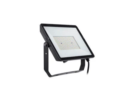 ProjectLine LED straler 100W zwart