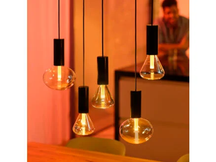 4256–philips-ellipse-ampoule-led-globe-e27-6w-dimmable-1.jpg