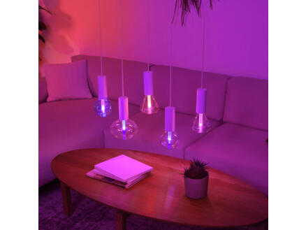 4256–philips-ellipse-ampoule-led-globe-e27-6w-dimmable-1.jpg