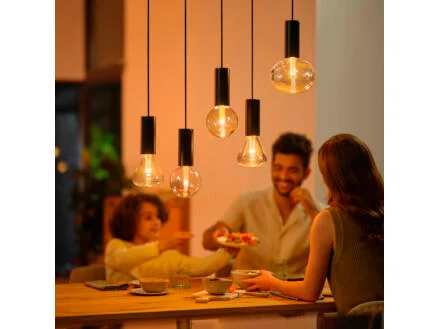 4256–philips-ellipse-ampoule-led-globe-e27-6w-dimmable-1.jpg