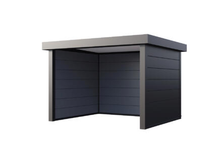 Telluria Singolo 3630 abri de jardin en mÃ©tal 298x358x265 cm anthracite