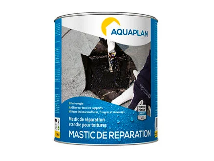 Aquaplan dakreparatie 1kg