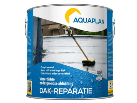  Aquaplan Mastic de rÃ©paration 2,5kg