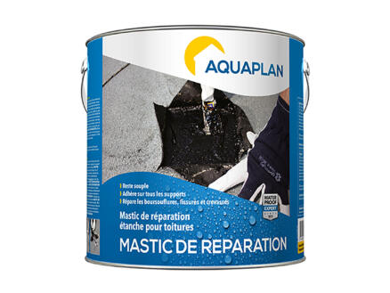 Aquaplan Mastic de rÃ©paration 2,5kg