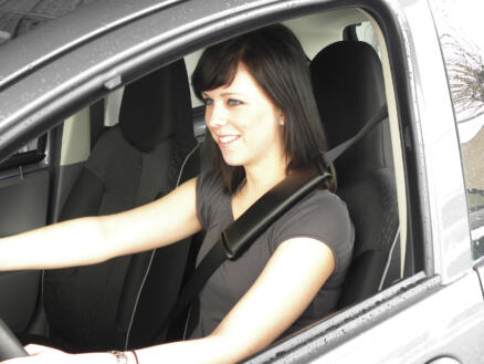 Carpoint Leatherlook gordelbeschermerset