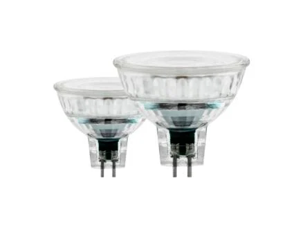  Eglo LED spot GU5.3 4,5W 2 stuks