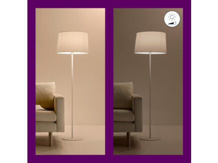 858–wiz-linear-lampe-led-6w-dimbaar-blanc-et-couleur-1.jpg