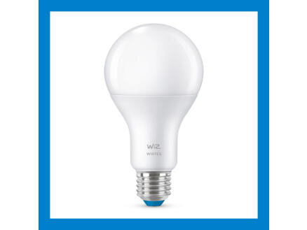 861–wiz-ampoule-led-poire-e27-100w-dimmable-1.jpg