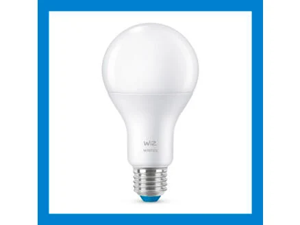 862–wiz-led-peerlamp-e27-100w-dimbaar-1.webp