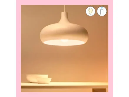 862–wiz-led-peerlamp-e27-100w-dimbaar-1.webp