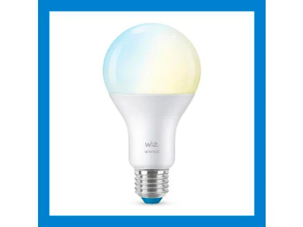 862–wiz-led-peerlamp-e27-100w-dimbaar-1.webp