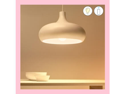 863–wiz-ampoule-led-e27-100w-dimmable-1.webp