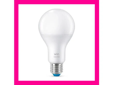 864–wiz-led-lamp-e27-100w-dimbaar-1.webp