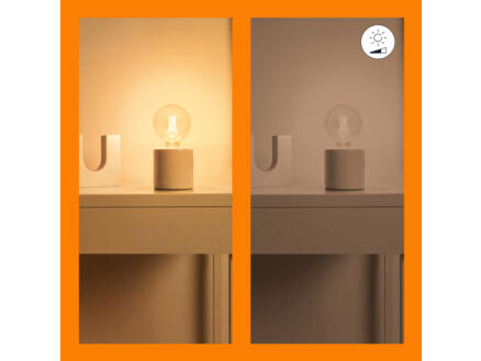 866–wiz-ampoule-led-globe-filament-e27-60w-dimmable-1.jpg