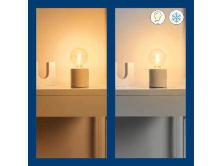 866–wiz-ampoule-led-globe-filament-e27-60w-dimmable-1.jpg