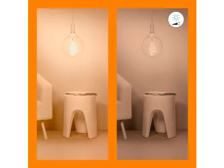 867–wiz-giant-led-bollamp-filament-e27-40w-dimbaar-1.webp